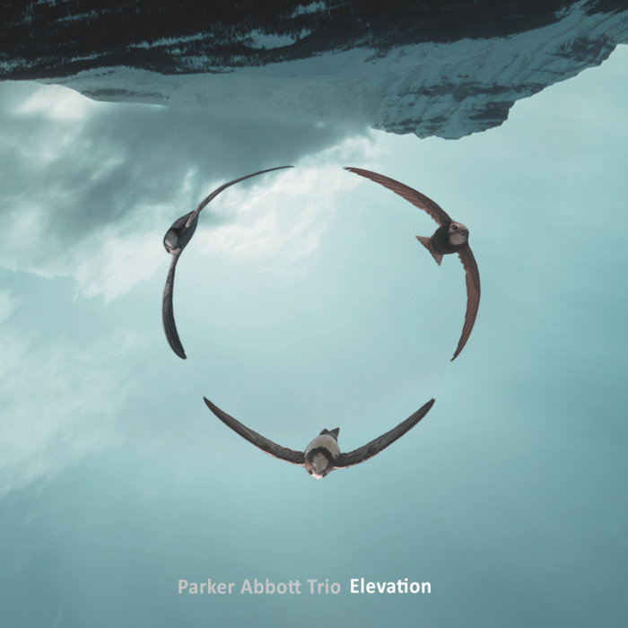Parker Abbott Trio - Elevation